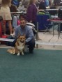 /album/corgi-cedar-urban-corgis-nar-7-3-2015/image10-jpeg/